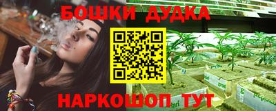 прущие крисы Лесосибирск