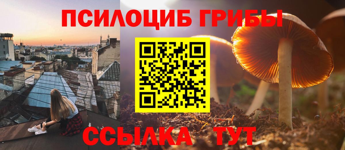 Углич  Галлюциногенные грибы прущие грибы  Вход с VPN  Галлюциногенные грибы GOLDEN TEACHER 